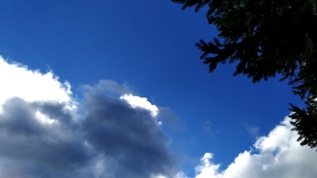 29 ноября.ДЕНЬ МАТВЕЯ.Народные традиции, обряды и приметы