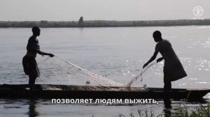 Мы верим что жизнестойкость – это суть человеческой природы