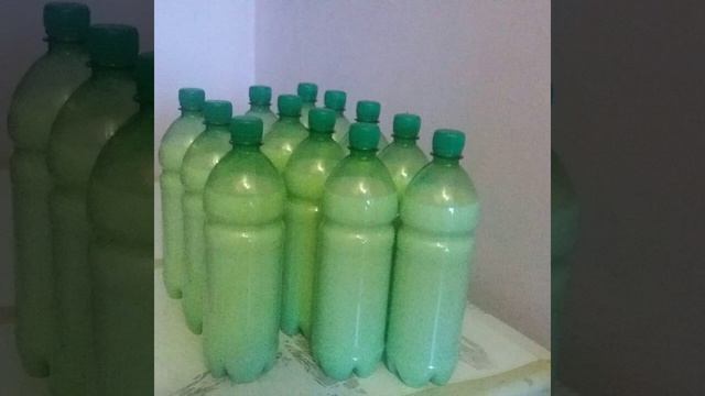 Кумыс, кобылье молоко
