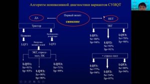 Видео лекция "Жизнеугрожающие аритмии у лиц молодого возраста. Диагностика и лечение". Часть 1.