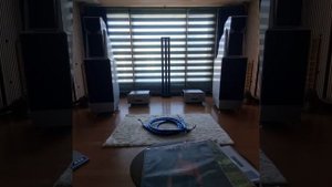 Wilson audio Maxx2, Laura Branigan GLORIA