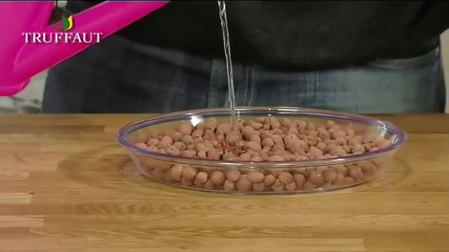 Comment entretenir le yucca ? - Truffaut смотреть онлайн