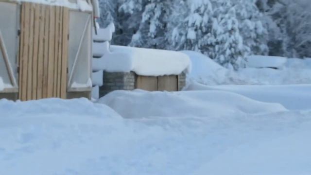 4 февраля 2021 г. смотреть онлайн