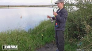 Ловля карася. Как же давно его не ловил (19.08.20)