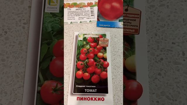 Подготовка почвобрикета для посадки томатов. Обзор  среднеспелый помидор.