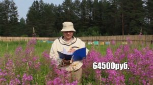 Сколько стоит построить пасеку с нуля?