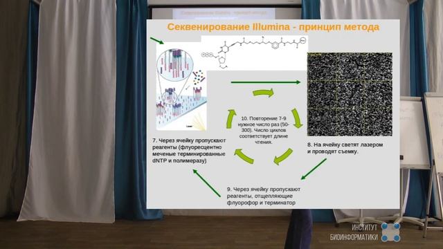 Секвенирование нового поколения: принципы, возможности и перспективы - Мария Логачева
