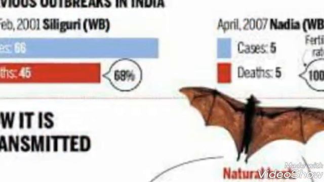 Virus nipah disease