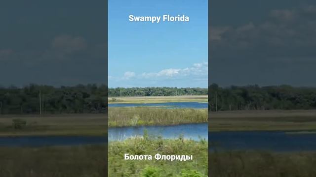 Swampy Florida*Болота Флориды*Купан Флорида