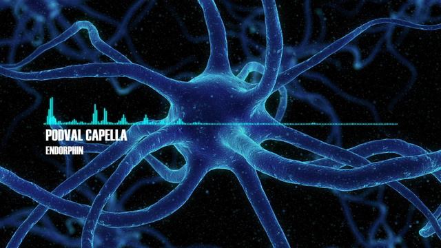 podval capella – endorphin смотреть онлайн