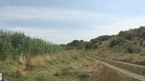 Рыбалка на реке Миус + раки от Николаевича!!!