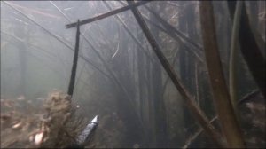 Подводный лес.Рыбалка и отдых на малых реках Саратовской обл.