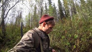 ОХОТА НА РЯБЧИКА. С МАНКОМ !#охота#дичь#рябчик#тайга