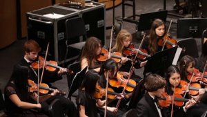 Palladio Concerto Grosso for String Orchestra by Karl Jenkins. I. Allegretto