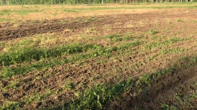 Подсев многолетней Травы смотреть онлайн