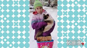 Ушла в школу - вернулась с котом. Видели видео? Фрагмент выпуска от 14.02.2021