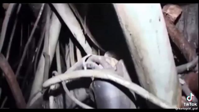 Призраки Чернобыляgra АЭС спасибо тик токеру @kartograf graf смотреть онлайн