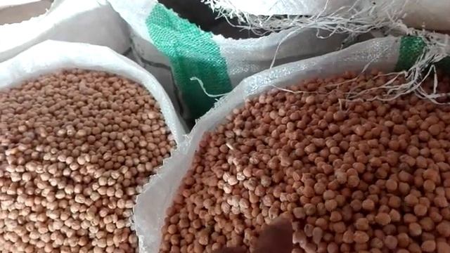 CHICKPEAS 14mm Wholesale price Review/chana #cholle ,New price CHICKPEAS,best Quality смотреть онлайн