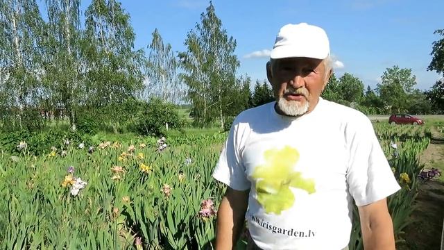 ИРИСЫ. ВСЕ секреты пышного цветения от селекционера!