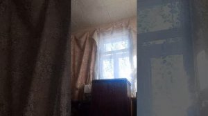 а я сахорок