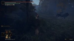 Elden Ring - Новые Баги и Эксплойты. Руны в минуту! патч 1.09.1