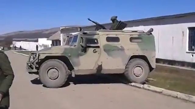 Российский тигр vs Украинский бордюр. Крым,Перевальное