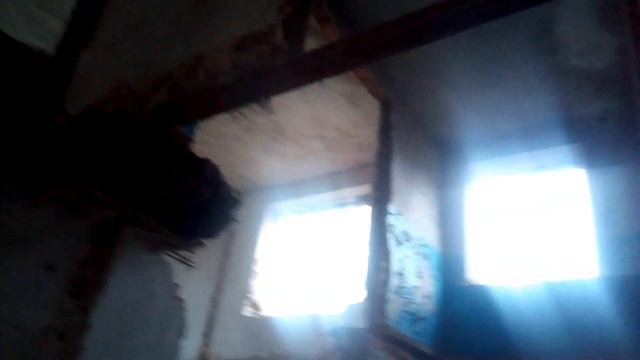 ОХОТА НА ЗАЙЦА С ПНЕВМАТИКОЙ!!!ЕСТЬ ЗАЕЦЬ!!! смотреть онлайн