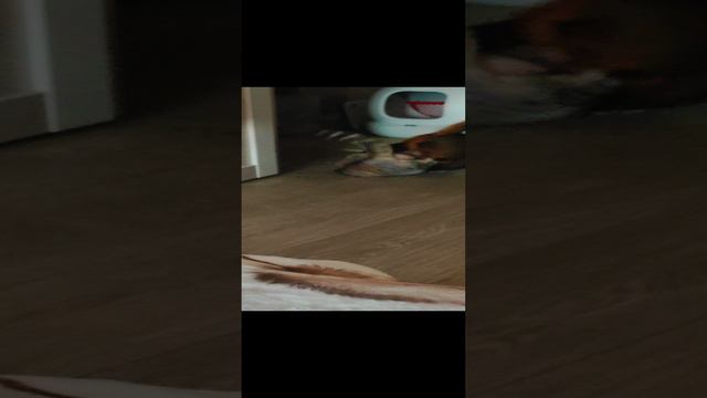 1000013599.mp4 смотреть онлайн