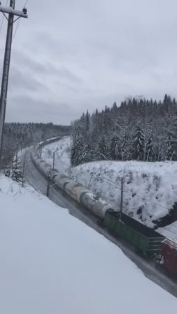 Грузовой поезд на перегоне Шаля - Сарга