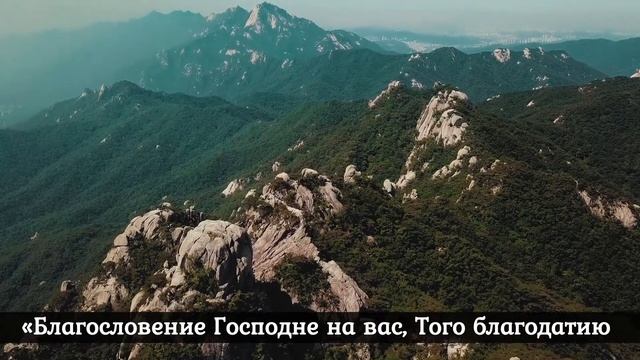 Зачем брать благословение у священника. Обязательно ли целовать руку