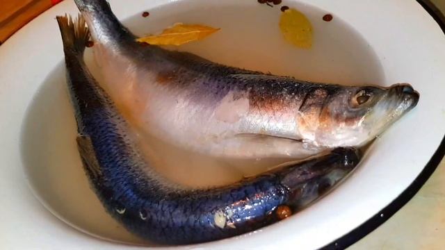 Малосольная селёдка, простой но вкусный рецепт посола сельди.