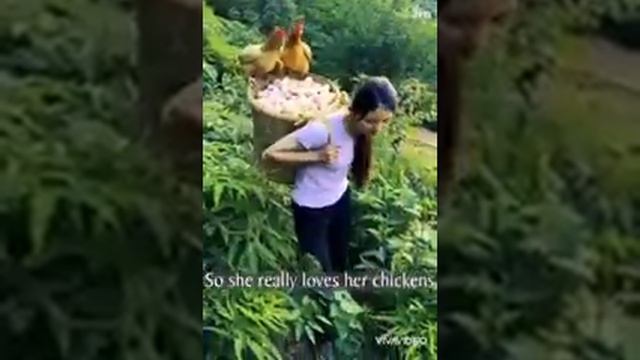 очень много яйца смотреть онлайн