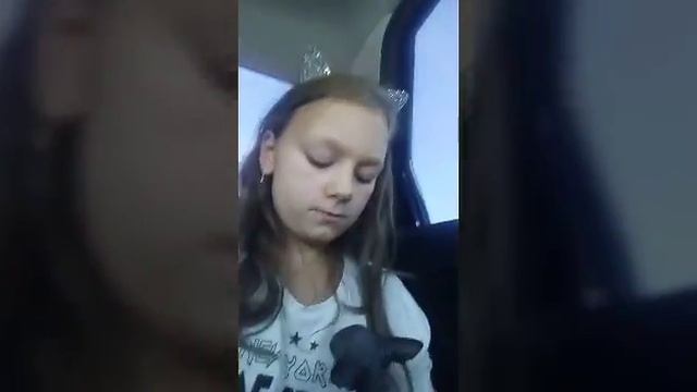 Как я забирала котенка канадского сфинкса. Новые приобретения для котёнка