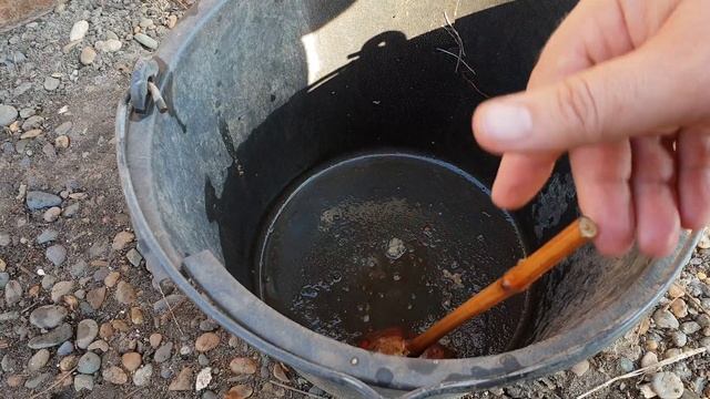 Укоренение черенков в картофеле. смотреть онлайн