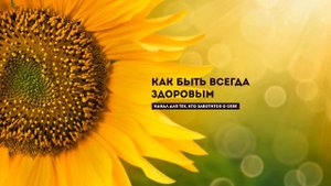 Берегите свои почки Какая еда вредит почкам
