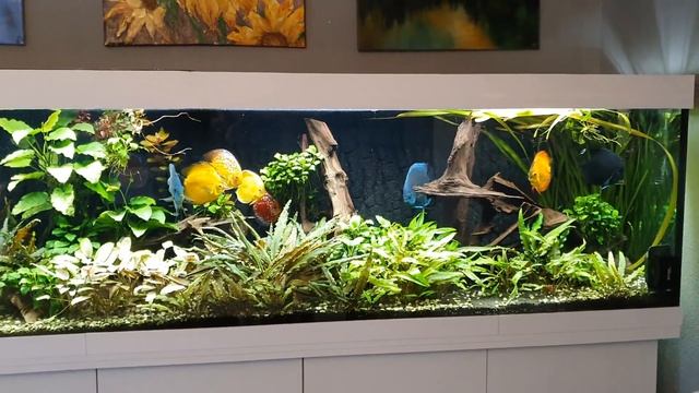 Контроллеры JBL LED SOLAR. смотреть онлайн