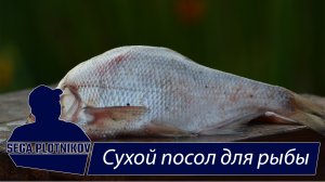 Сухой посол рыбы