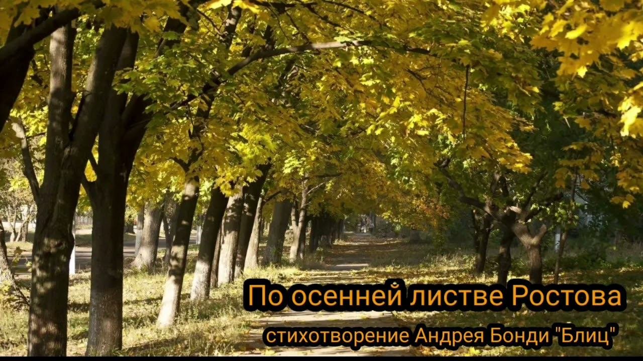 По осенней листве Ростова