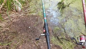 Рыбалка В Подмосковье Павловский Посад Рыбалка Весной На Поплавок