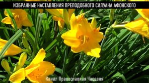 прп. Силуан Афонский - Мудрые цитаты