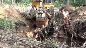 Корчевание пней