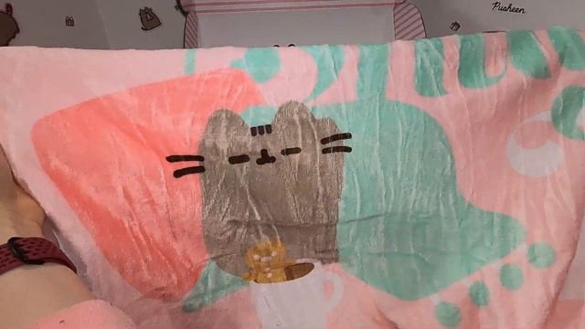  Pusheen Winter 2021 Subscription Box!