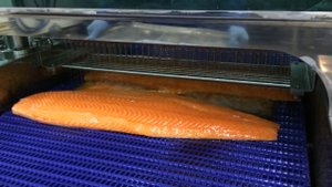 Инжектор для рыбы CHSIJ-1000 (пр-во Ю.Корея), (ООО "Владфризинг")