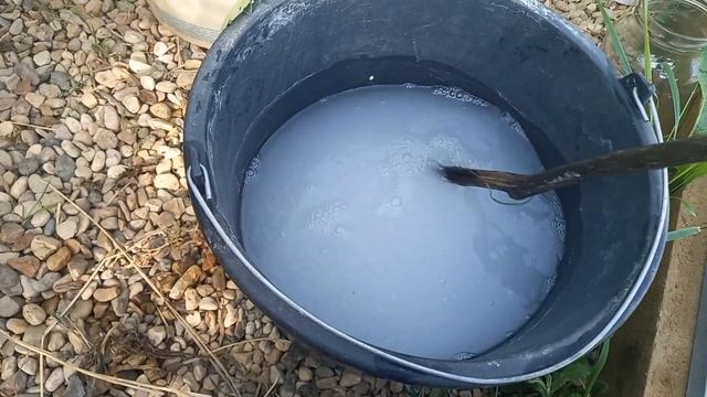 Лучшее средство от слизней и гусениц на капусте. Вы такого не знали!!! смотреть онлайн