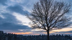 Gregory Alan Isakov with the Colorado Symphony. The Stable Song