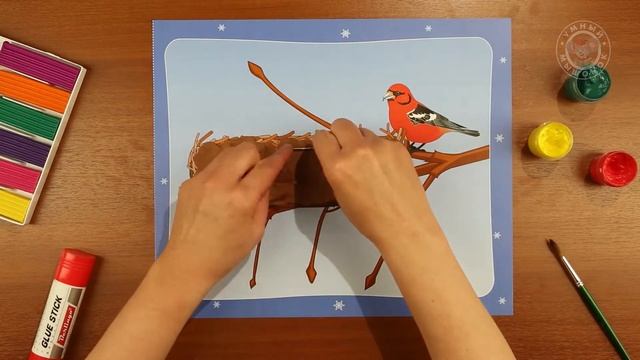 Времена года. Зима 6+ 10 Задание для детей "Клёст" смотреть онлайн