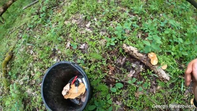РЫБАЛКА+ГРИБАЛКА СТАВРОПОЛЬСКИЙ КРАЙ П.ЗМЕЙКА ТЕРКОНЗАВОД!!!