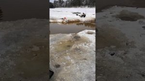 Загар рыбы в Сургуте