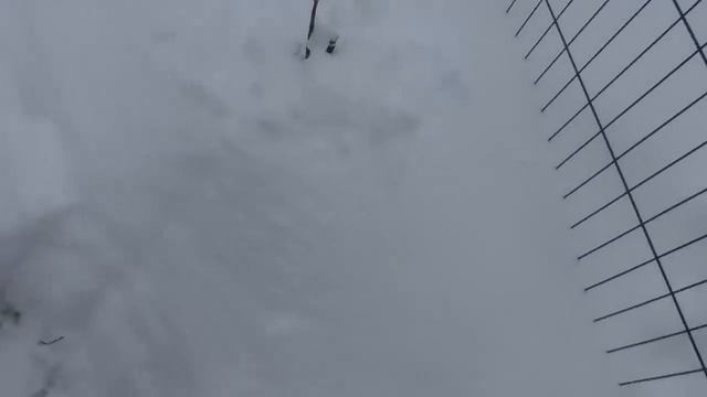 Выпал снег, утепляю курочек и саженцы. Домик в Мещёре, серия 80 смотреть онлайн