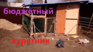 Курятник своими руками